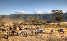 2-Days Ngorongoro Crater 
