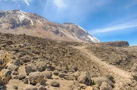 8 Days Kilimanjaro Climb Lemosho route 