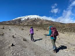 7-Days Kilimanjaro Trekking Lemosho Route