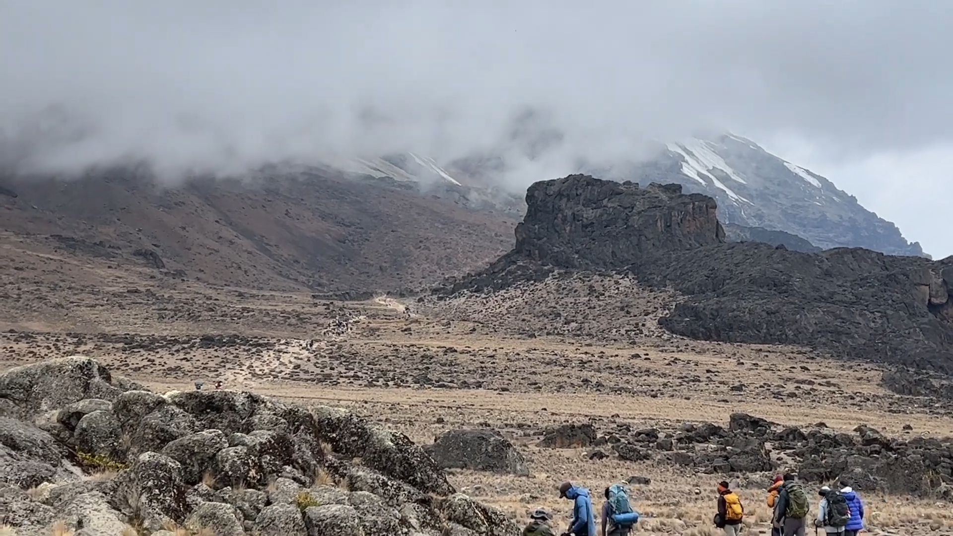  7-Days Kilimanjaro Trekking Machame  Route